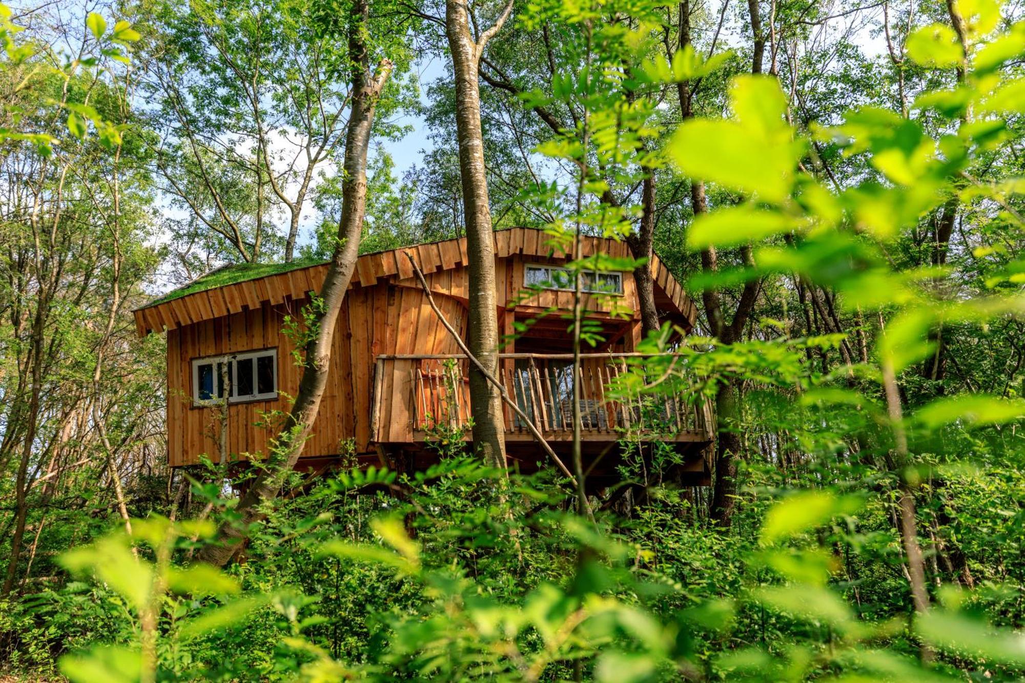 Camping De Reeenwissel Hoogersmilde Exterior foto